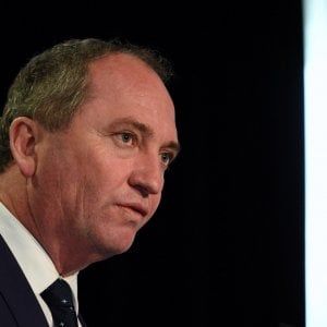 Australia, vicepremier e altri parlamentari non eleggibili per 'doppia cittadinanza'