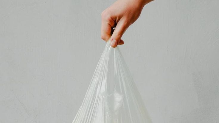 La Corte di Giustizia Ue boccia il divieto italiano sui sacchetti di plastica: “Servono nuove prove scientifiche”