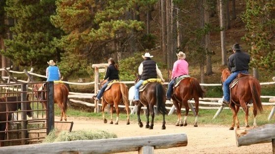 Una vacanza da cowboy. Anche nel ranch vicino a casa