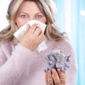 Acari della polvere e allergie, scoperte le origini molecolari