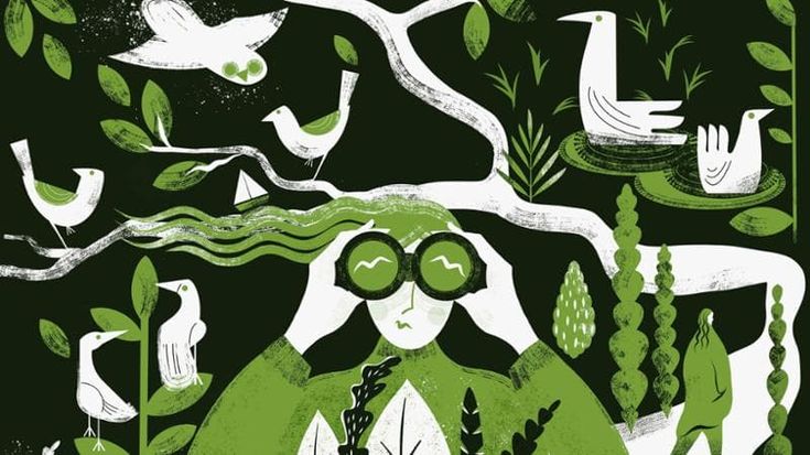 Natura. Andiamo a lezione di complessità