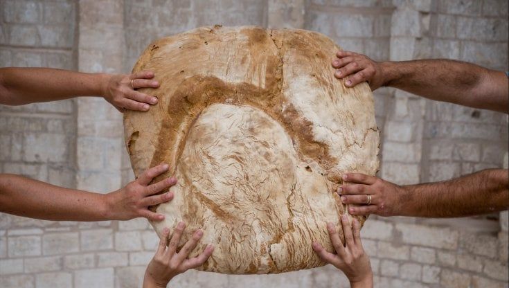 Cinque nuovi presidi Slow Food in Puglia