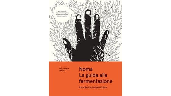 I segreti della fermentazione e il processo creativo di René Redzepi
