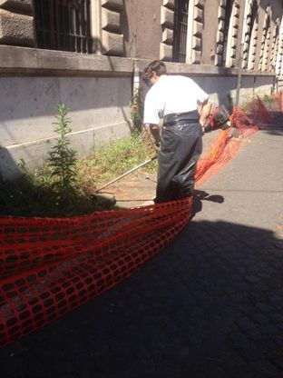 Da consigliere comunale a tagliaerba: Corsetti diventa "giardiniere per un giorno"