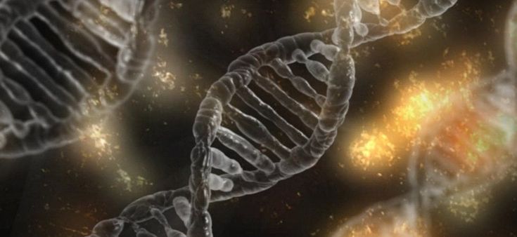 Cancro al polmone, un farmaco mette due mutazioni nel mirino 