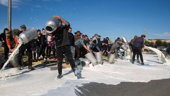 Sardegna, la protesta dei pastori contro il prezzo del latte: "Bloccheremo i seggi elettorali"