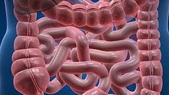 Immunoscore, il test per capire l’evoluzione del tumore del colon