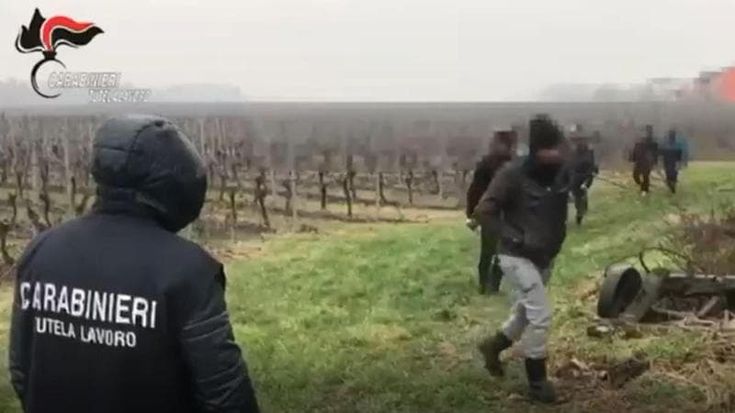 Truffa sui migranti, il tesoriere Pd intercettato: “Il fiscale non è penale”