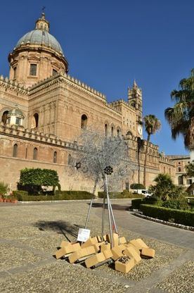 L'Albero della Pace fa tappa alla Cattedrale