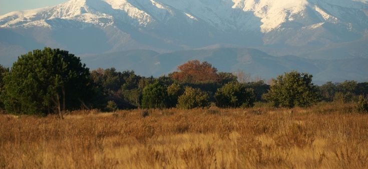 365 volte Europa. I primi passi per superare i Pirenei