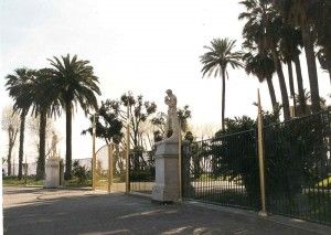 <span style="font-weight: bold;">Villa Comunale meno verde<br />Saranno abbattuti 31 alberi<br /></span>