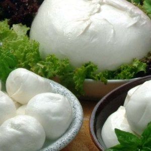 Mozzarella Dop, eletto il nuovo Cda del Consorzio di Tutela