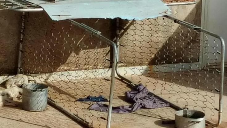 Quattro cuccioli di cane lasciati in balcone muoiono per il caldo a Sciacca. Borrelli: “Denunceremo”