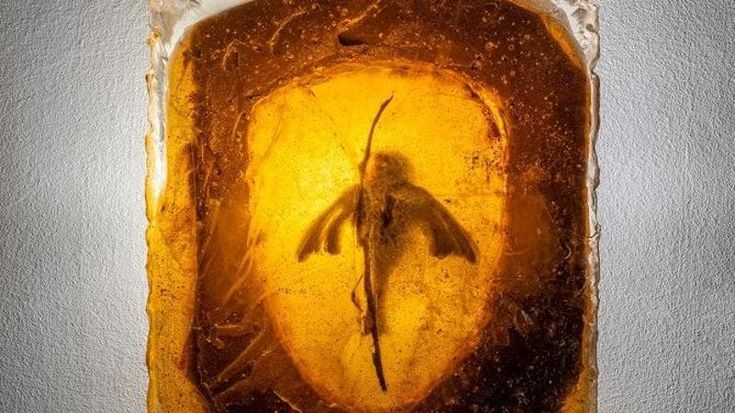 Napoli, quelle sculture che indagano le relazioni tra esseri viventi
