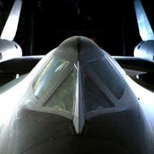 Auto, bici, armi e cani: ecco quello che uccide più di un aereo