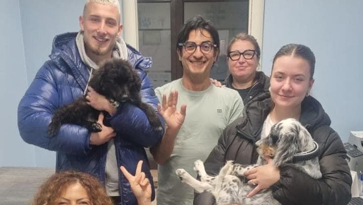 Adotta due cani abbandonati in un mese, il gesto del calciatore Till Winkelmann commuove i volontari