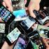Montelupo, banditi gli smartphone dentro al palazzetto: 