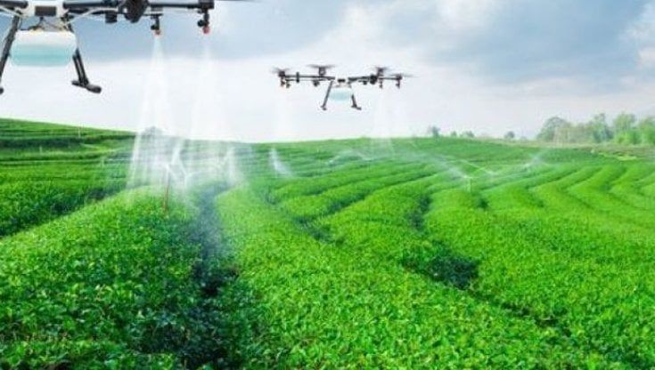 Agricoltura 4.0, la tecnologia al servizio del cibo