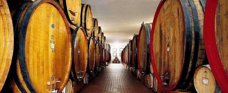 La Guida dell'Espresso, ecco i migliori vini di Sicilia