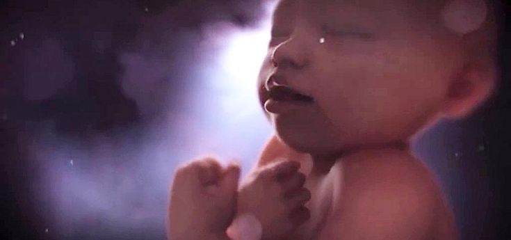 Sanremo, la prima polemica: social scatenati contro lo spot dei feti canterini