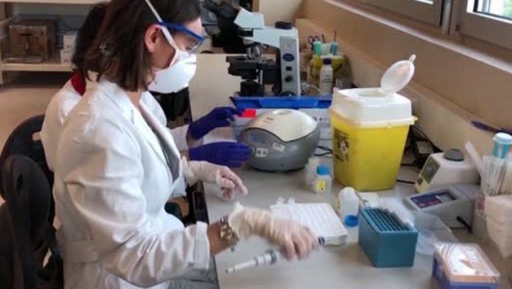 Amiloidosi, ecco il cocktail di farmaci che può combatterla
