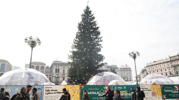 Oltre 30 alberi e luminarie di Natale in tutti i quartieri: la mappa e i temi delle decorazioni