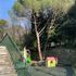 Bimbi in ostaggio di un cipresso, è pericolante da un anno e il giardino dell’asilo rimane vietato