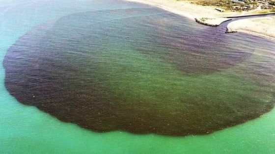  Macchia nera in mare, sequestrato il depuratore e sindaci indagati