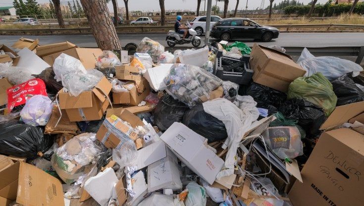 Rifiuti, pochi bus e strade colabrodo: il flop delle spa comunali di Palermo che bruciano milioni