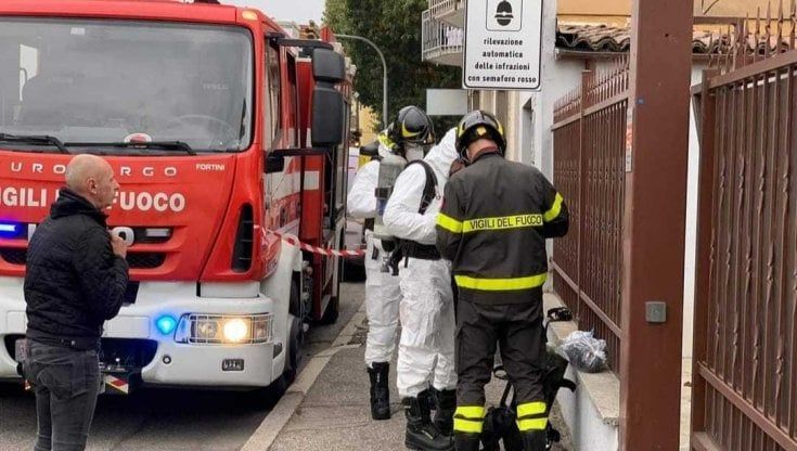 Mortara, anziana ha un malore: i soccorritori trovano in casa oltre 40 cani e le carcasse di 4 animali morti