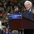 Primarie Usa, Sanders vince nello Stato di Washington, in Alaska e alle Hawaii