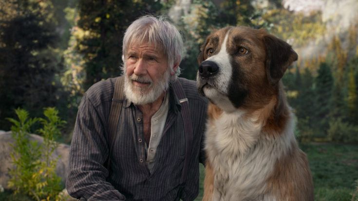 Harrison Ford: "Alla mia età è meglio la foresta"