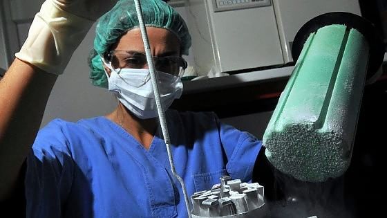 Fecondazione eterologa: fissato il tariffario, ma gli ospedali non sono pronti a partire