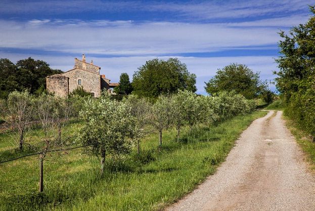 Roma, il Bio Village al GAS Brancaleone, per gli amanti dei prodotti a km zero