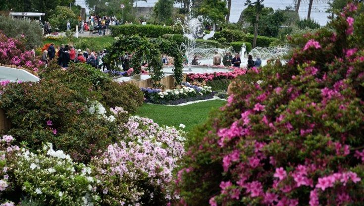Genova, Euroflora alla volata finale: gli alberghi puntano sul week end