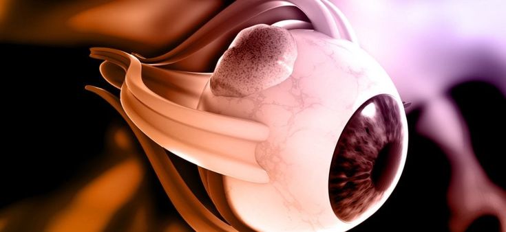 Sclera: il ‘guscio’ che protegge il bulbo