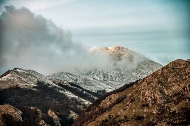 Matese, le orme dei lupi sulla prima neve