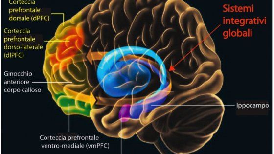 Il cervello si comporta come un giudice del tribunale
