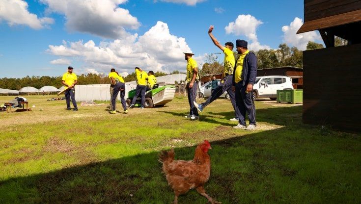 Domenica ci vediamo al campo da cricket