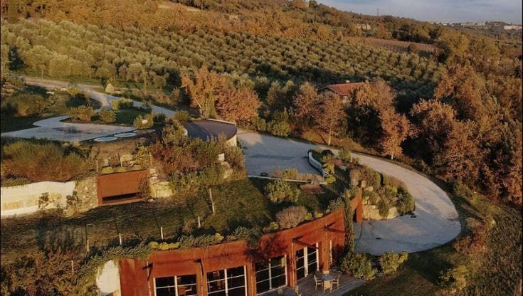 Tenuta Sanoner e il volo degli Aetos, i vini dell’aquila
