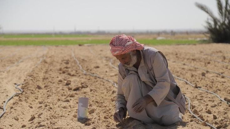 Striscia di Gaza, la Fao estende l’assistenza finanziaria condizionata ad altri mille agricoltori
