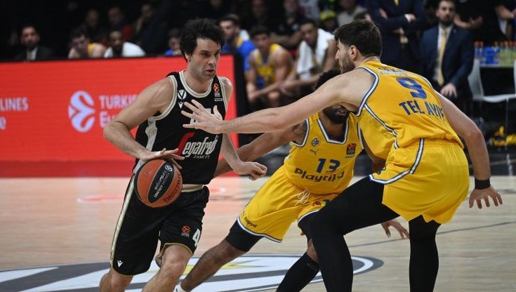 Il pagellone di Virtus e Fortitudo: Teodosic instancabile, Dalmonte tradito dagli americani