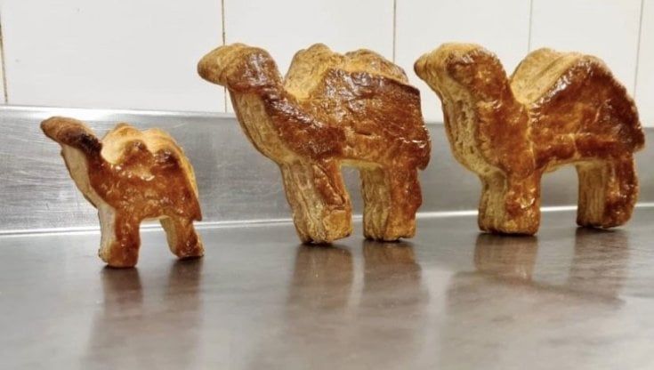 La Befana che non ti aspetti, dai cammelli di Varese ai "frati ubriachi" della Val di Fiemme