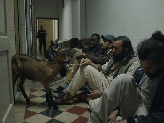 'Magic Alps', la vera storia del primo migrante arrivato in Italia con una capra