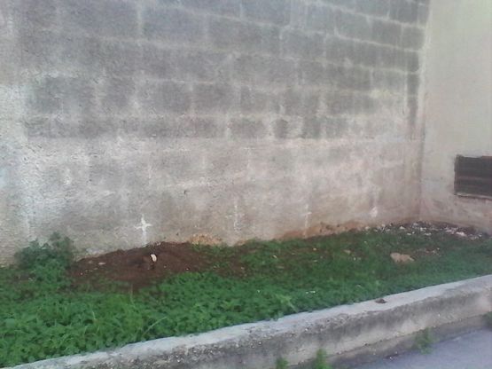 "Quelle strane croci sul muro"<br />Il mistero del capannone