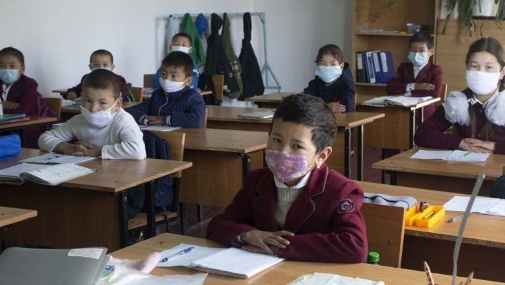 L'asino che ha portato Internet in una scuola 