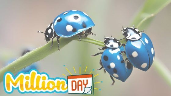 Million Day, l’estrazione delle 13:00 di martedì 11 agosto