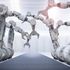Robot e algoritmi, gli italiani temono il 