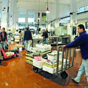 Genova, per il Mercato del pesce rischio trasloco dopo Natale