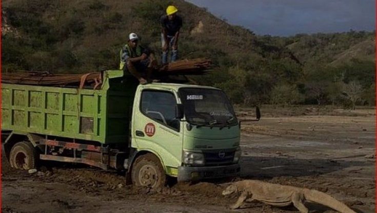 Indonesia, il Jurassic Park che minaccia i draghi di Komodo: una foto fa scattare l'allarme